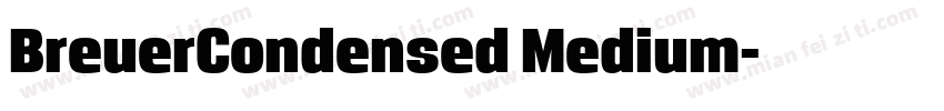 BreuerCondensed Medium字体转换